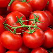 red_photos_06_0.jpg