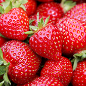 strawberry.jpg